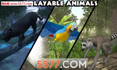 ���ֶ���ģ����2026���°汾v1.2 �ֻ���