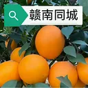 ����ͬ�ǰ�׿���ֻ���v15.7.4 �ٷ�����