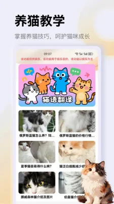 ����è��app2026�ٷ����°汾v1.1 ��Ѱ�