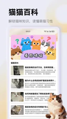 ����è��app2026�ٷ����°汾v1.1 ��Ѱ�