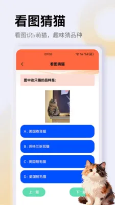����è��app2026�ٷ����°汾v1.1 ��Ѱ�