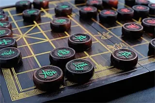 象棋大师对弈(象棋教学软件) 象棋大师对弈(象棋教学软件)