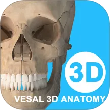 ά����3D����2026�ٷ����°汾v7.0.1 ��Ѱ�