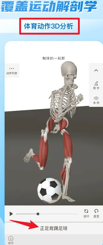 ά����3D����2026�ٷ����°汾