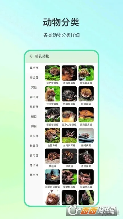 ����ٿ�(��ֲ��ʶ������)v4.1.7 �ٷ�����