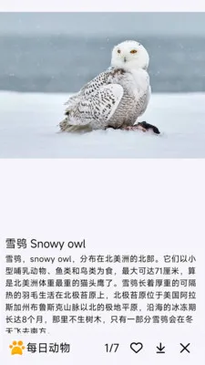 ÿ�ն���(�������APP)v1.0.0 �ֻ���