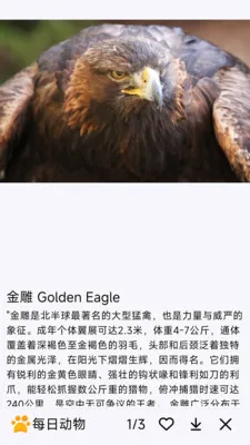 ÿ�ն���(�������APP)v1.0.0 �ֻ���