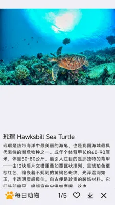ÿ�ն���(�������APP)v1.0.0 �ֻ���