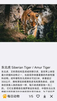 ÿ�ն���(�������APP)v1.0.0 �ֻ���
