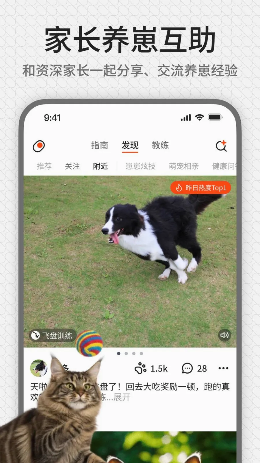 rua��(����ѵ��ƽ̨)v1.0.1 ��Ѱ�