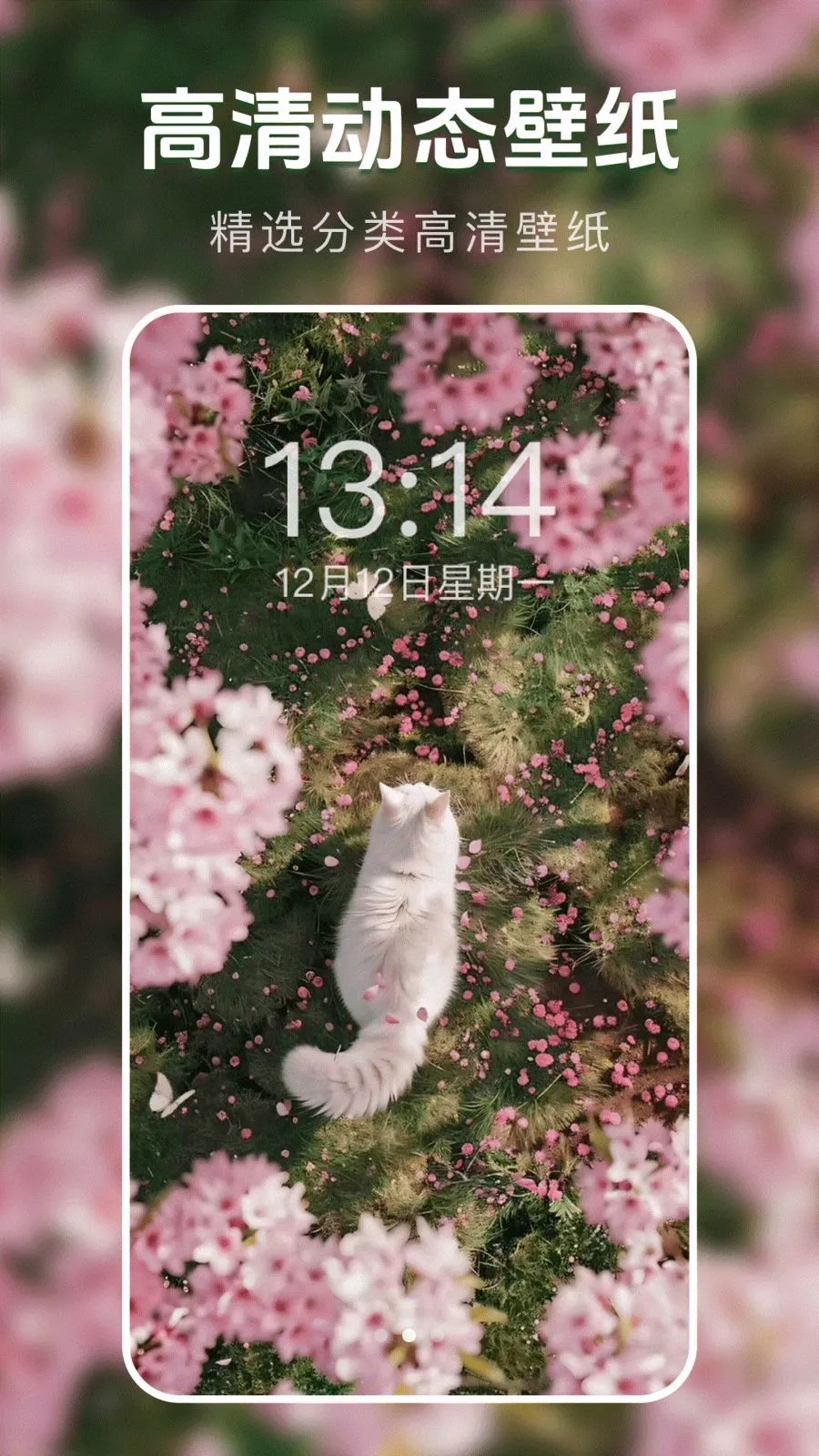 ��̬�����ֽ��2026���°汾v1.0.0 ��Ѱ�