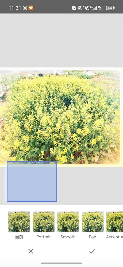 BetterSeed2026�ٷ����°汾v2.22.0.633363672 ��׿��