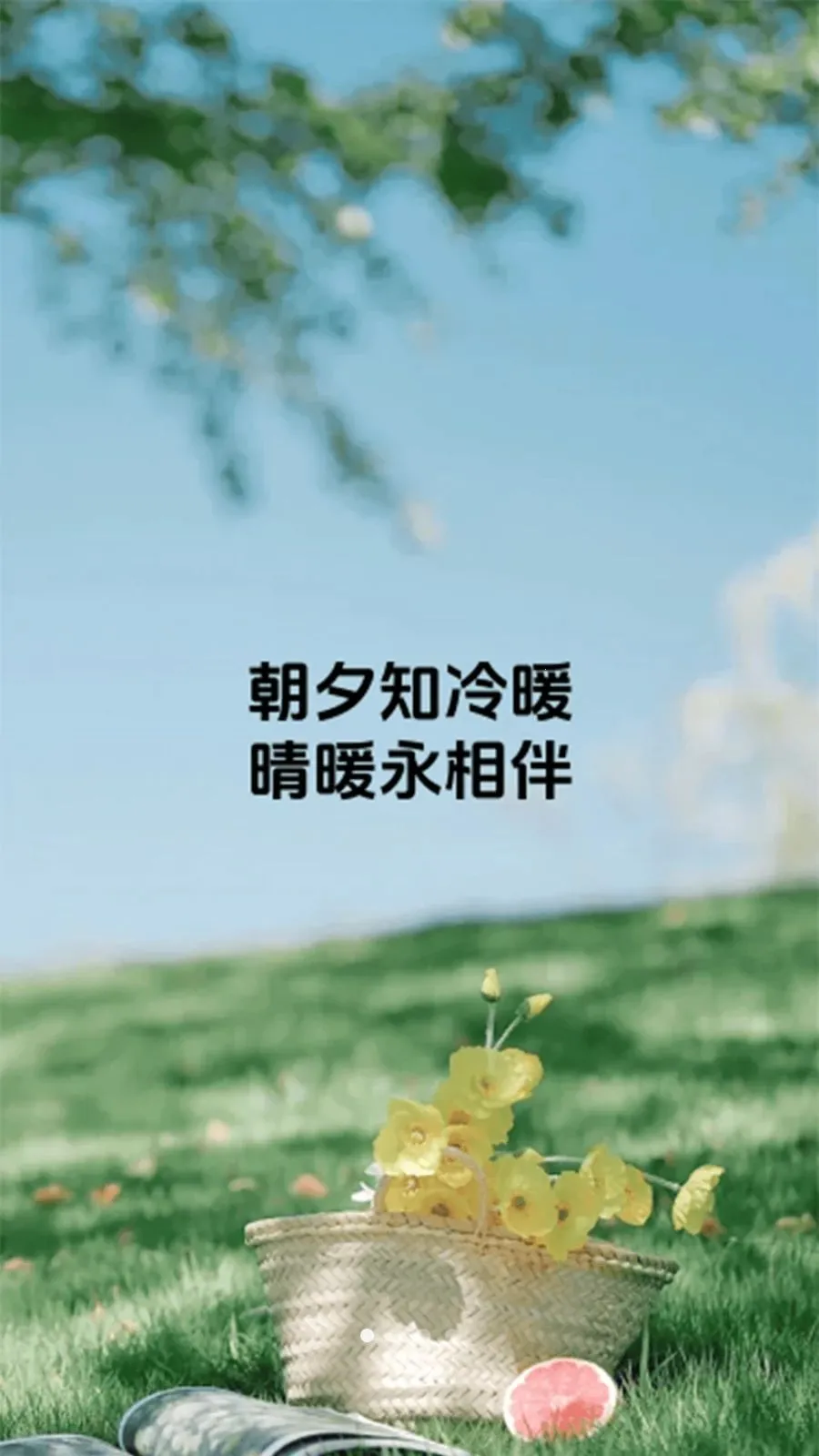��ů���2026���°汾v1.0.6 �ֻ���