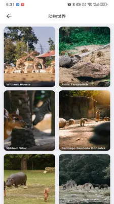 musabay(ά���ֽӰ��app)v1.1.3 ��׿��